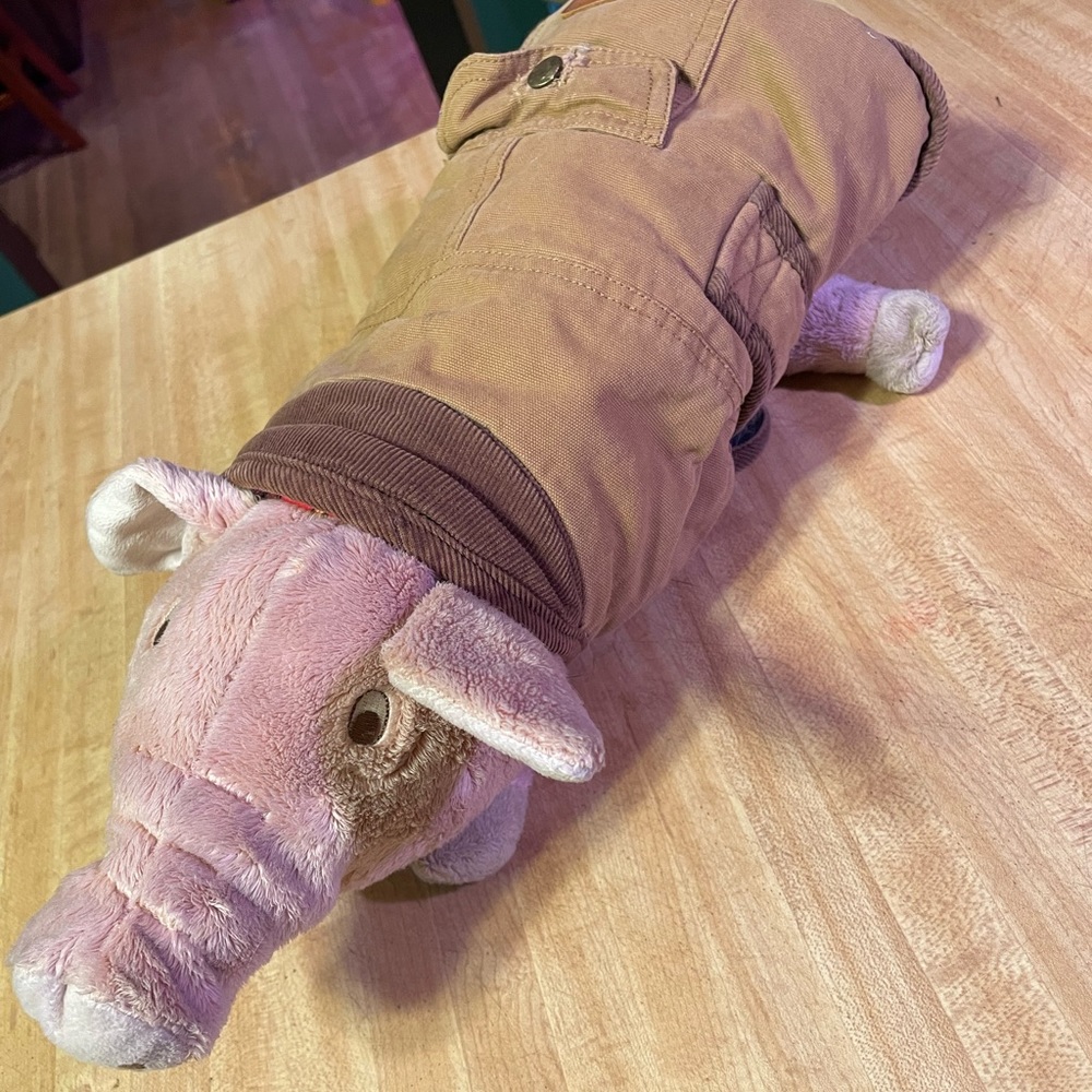 Doggie Canvas outfit